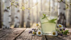 Brzoza zaczyna pylić wcześniej w 2026 roku, a ten napój zmniejsza objawy alergii